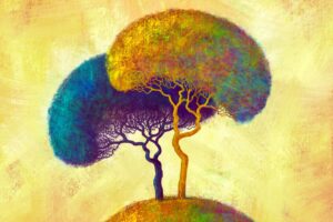 elmoutahida united puzzles - Dualities