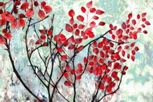 elmoutahida united puzzles - red leaves