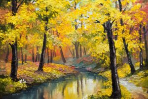 elmoutahida united puzzles - river in the woods