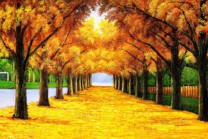 elmoutahida united puzzles - autumnal alleyway