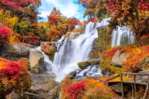 elmoutahida united puzzles- Autumn's Embrace