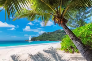 elmoutahida united puzzles- Tropical Paradise