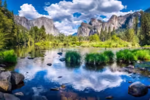 elmoutahida united puzzles- Wilderness River Journey