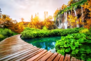 elmoutahida united puzzles- Scenic Wooden Path in Plitvice Lakes National Park