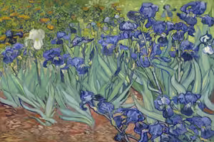 elmoutahida united puzzles - Irises By Vincent Van Gogh 1889